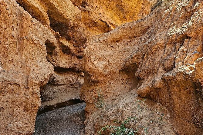 1 Day to Burana Tower, Kok Moinok Canyon, Hot Springs - Is $142 a fair price?