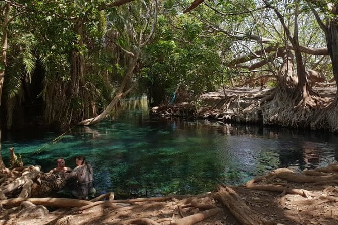 1 Day Tour Hot Spring (Majimoto) - The ride from Arusha or Kilimanjaro Airport