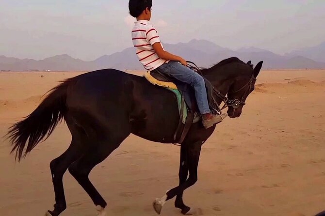 1 Hour Turkish Bath & 1 Hour Horseback Riding - Sharm El Sheikh - The Turkish Bath Comes First