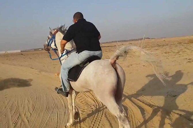 1 Hour Turkish Bath & 1 Hour Horseback Riding - Sharm El Sheikh - What You Get for $34
