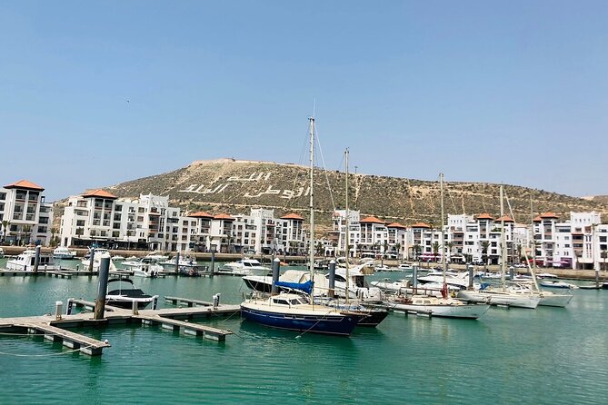 3 in 1 = city tour half day + camel ride 2hours + hammam massage 2hours - The guide, vehicle, and group size