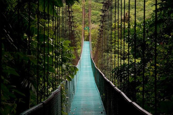 3 in 1 Combo: La Fortuna Waterfall, Hanging Bridges, Thermal Spa from San José - Key points before you book