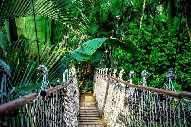 3 in 1 Combo: La Fortuna Waterfall, Hanging Bridges, Thermal Spa from San José - La Fortuna Waterfall and the long stairway down