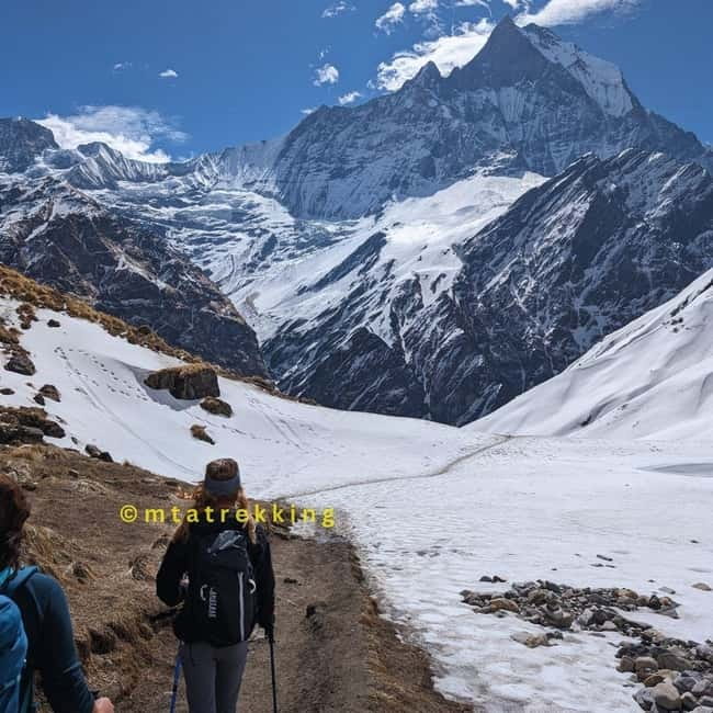 5-Day Annapurna Base Camp Trek with Natural Hot Springs - Day 4: Annapurna Base Camp to Bamboo Lodge