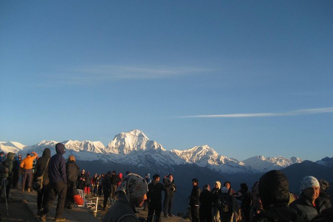 7 Days Annapurna Base Camp Trek from Pokhara with Hot Spring - Day 7: Return to Pokhara through Nayapul