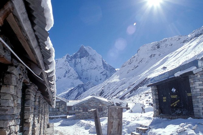 7 Days Annapurna Base Camp Trek from Pokhara with Hot Spring - Day 2: Chhomrong, Sinuwa, and the bamboo forest