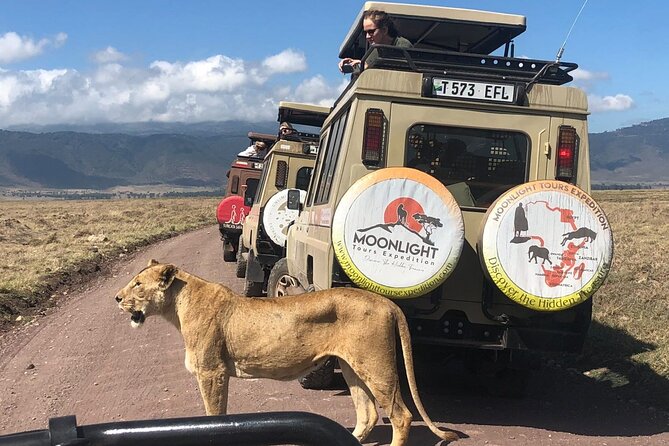 7Day Serengeti Migration (Ndutu), Crater, Hot Springs & City Tour - Ngorongoro Crater, a compact wildlife day