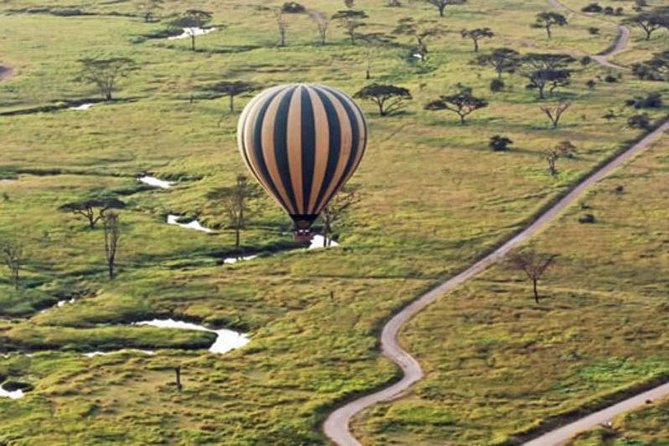 7Day Serengeti Migration (Ndutu), Crater, Hot Springs & City Tour - Materuni Waterfalls and Chemka Hot Springs