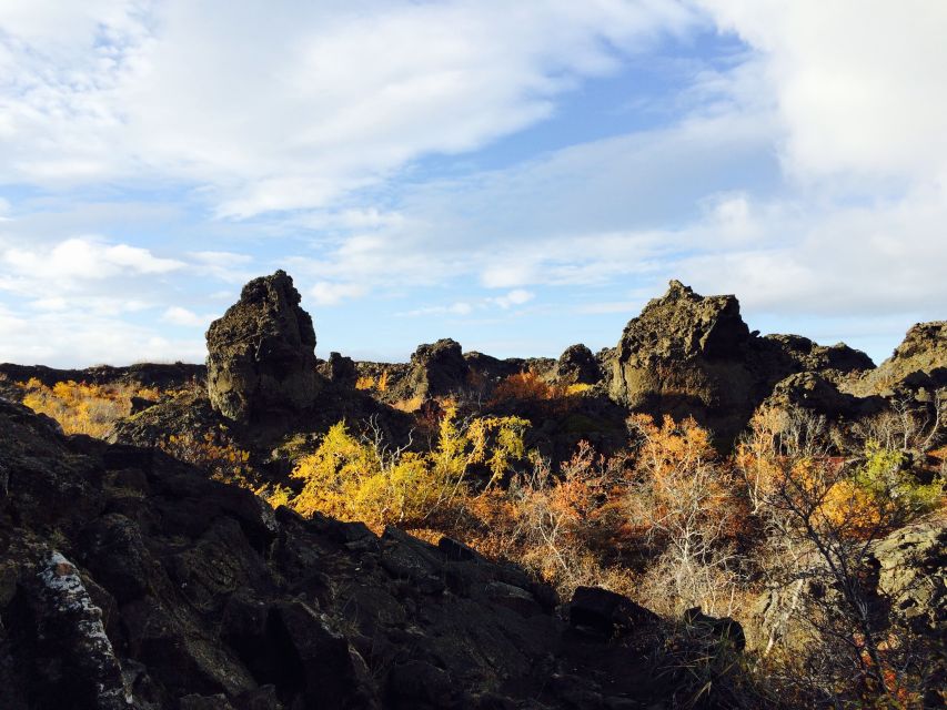 Akureyri Port: Lake Mývatn & Goðafoss Waterfall Day Trip - The Mývatn Nature Baths option