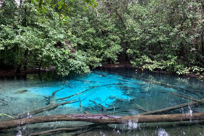 All day Krabi Jungle Tour (Hot Spring Water, Emerald Pool, Tiger Cave Temple) - Tiger Cave Temple and the staircase decision