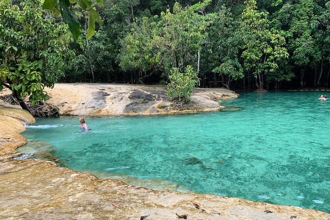 All day Krabi Jungle Tour (Hot Spring Water, Emerald Pool, Tiger Cave Temple) - Guides, vans, and the rhythm of the day