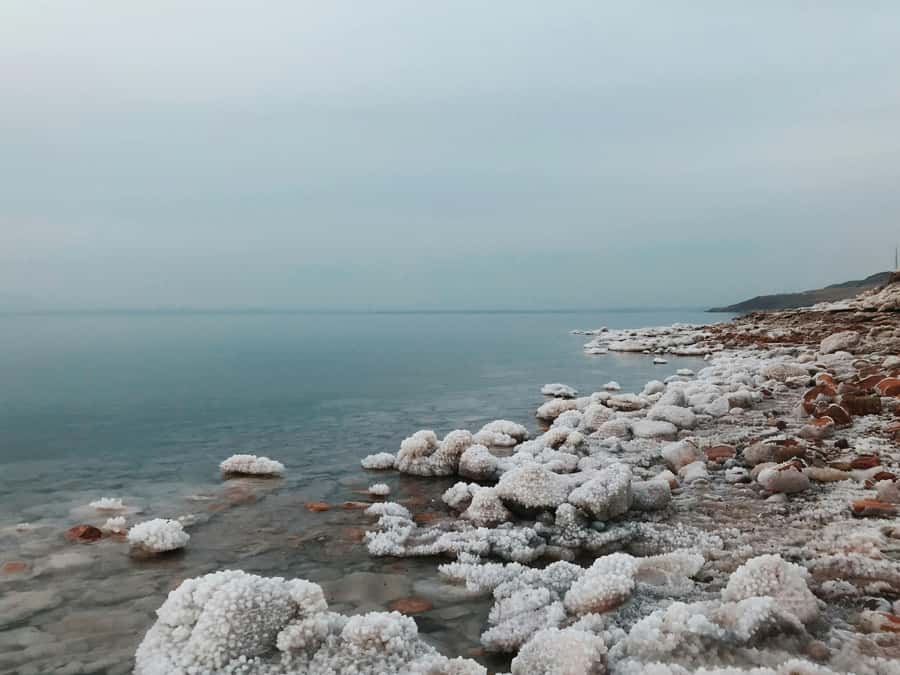 Amman: Ma'in Hot Springs and Dead Sea Day Trip - The driver matters more than the schedule
