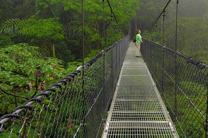 Arenal Hanging Bridges, Guided Walk, Hot Springs Optional - Six hanging bridges, plus ten easier crossings