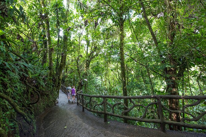 Arenal Hanging Bridges, Guided Walk, Hot Springs Optional - Why the trail works well for families and wheelchair users