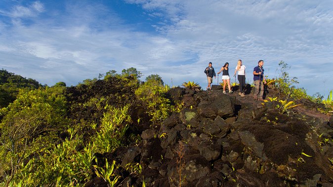 Arenal Volcano Hike Expedition with Optional Hot Springs - What you might see along the 1.5-kilometer trail