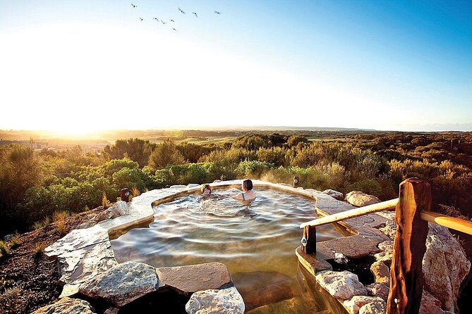 Arthur Seat Eagle Cable Car and Mornington Peninsula Hot Springs - Arthur’s Seat Eagle: the scenic centerpiece