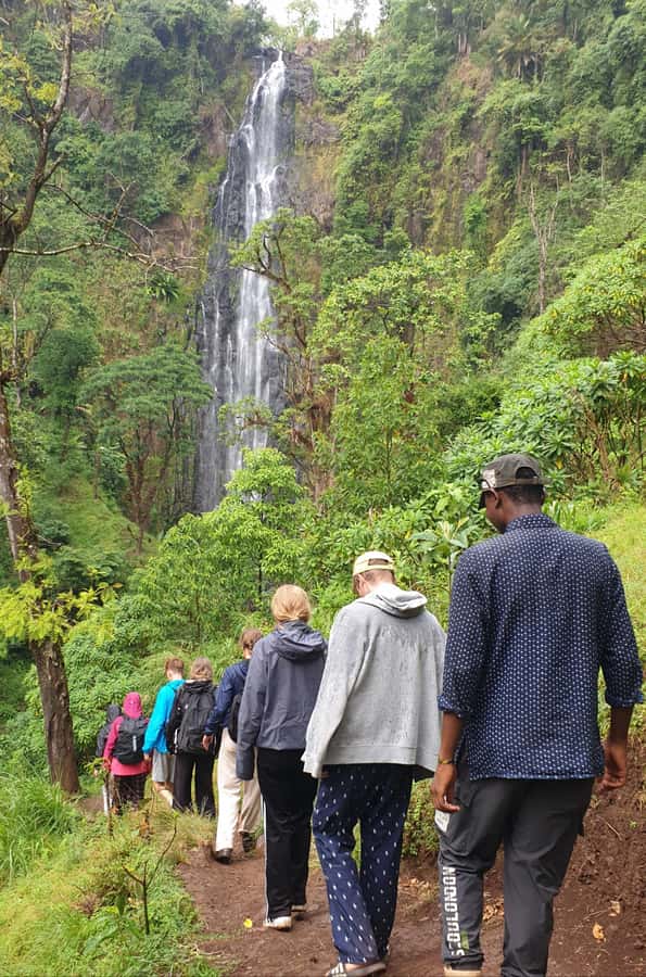 Arusha: Materuni Waterfalls, Hot Springs and/or Coffee Tour - The walk to an 85-meter waterfall