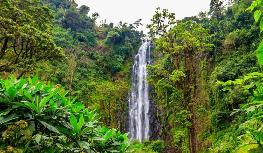Arusha: Materuni Waterfalls, Hot Springs and/or Coffee Tour - A Tanzanian lunch with local flavor
