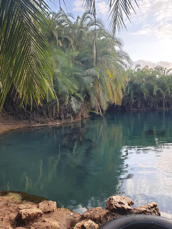 Arusha: Materuni Waterfalls, Hot Springs and/or Coffee Tour - Swimming at Chemka Hot Springs