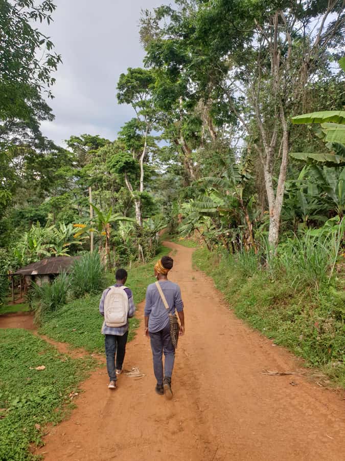 Arusha: Materuni Waterfalls, Hot Springs and/or Coffee Tour - Practical ways to prepare