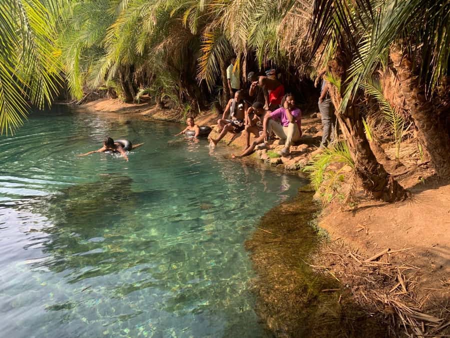 Arusha/Moshi Hot Springs Tour (Chemka) by Kingstone Asilia - Swimming, rope swings, and fish