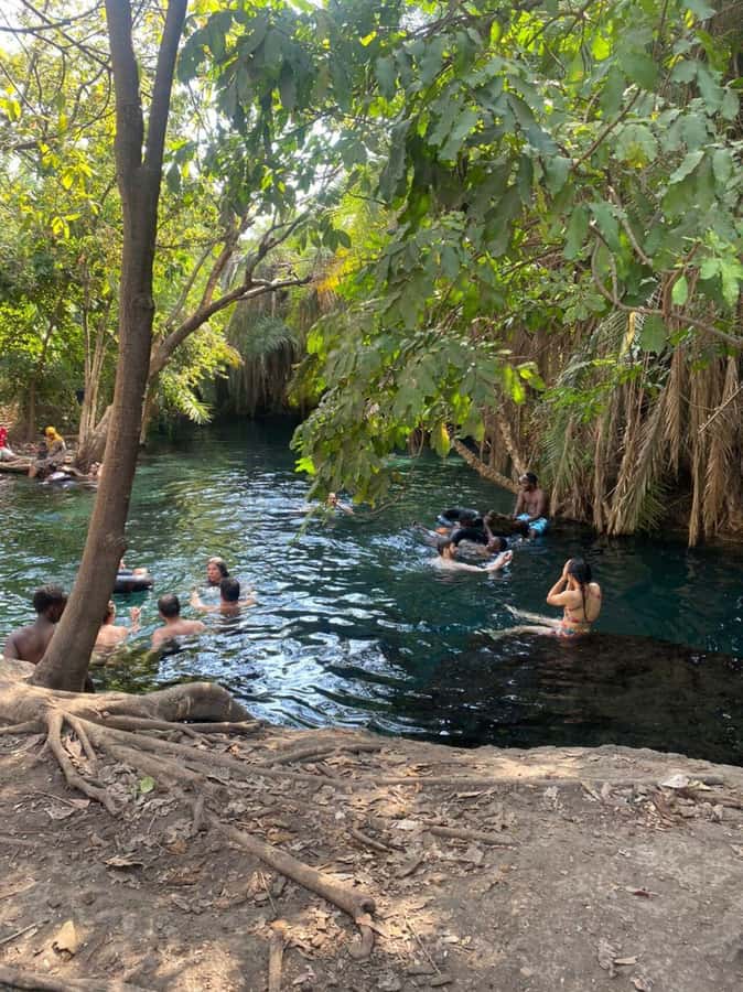 Arusha/Moshi Hot Springs Tour (Chemka) by Kingstone Asilia - Making the most of the three hours at the springs