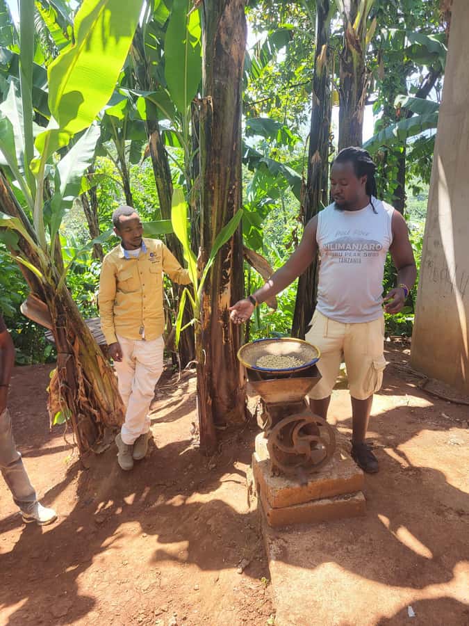 Arusha or Moshi : Hot Spring, Waterfall & Coffee Farm Tour - Resting at Chemka Hot Springs