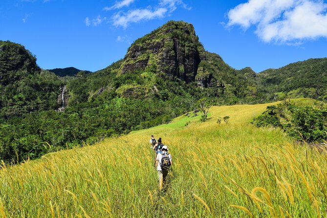 ATV Quad Bike Adventure Tour Inc Hot Springs & Mud Pool (Departs Nadi) - The Garden of the Sleeping Giant