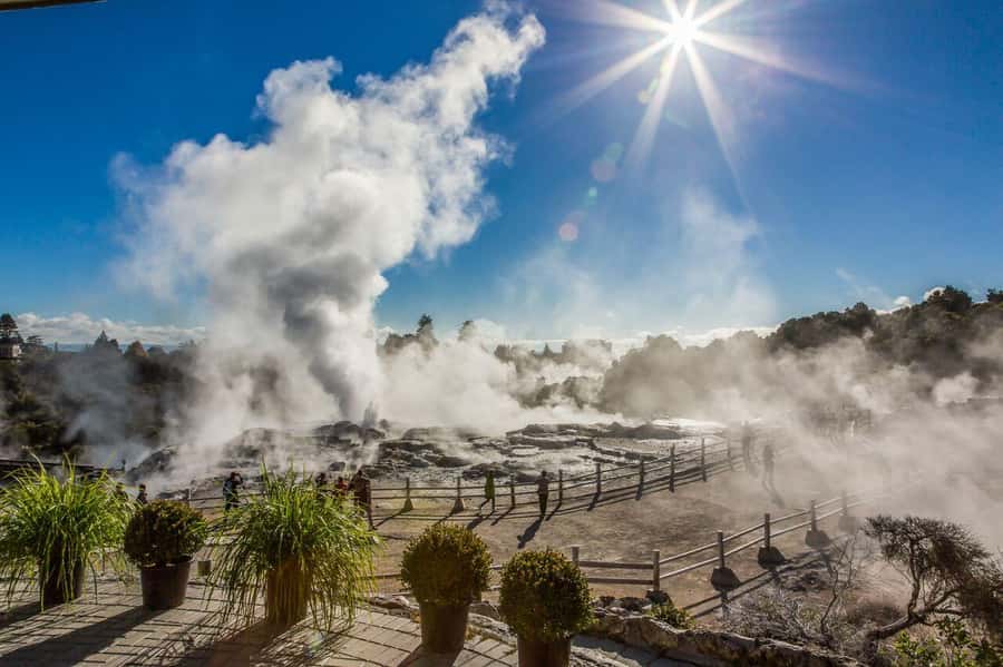 Auckland: Full-Day Trip to Rotorua Geothermal Valley - Key points to know before booking