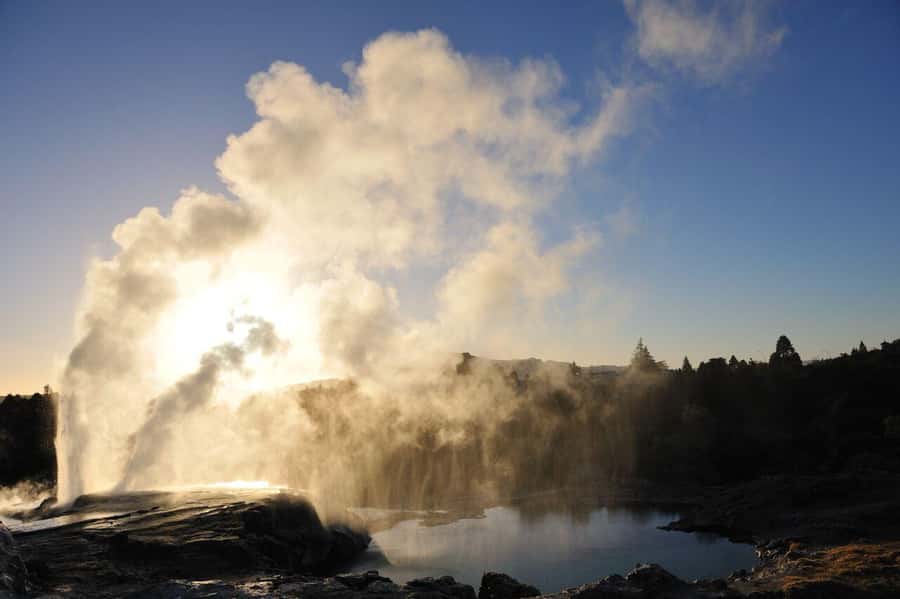 Auckland: Full-Day Trip to Rotorua Geothermal Valley - Entering Te Puia’s 60-hectare geothermal valley