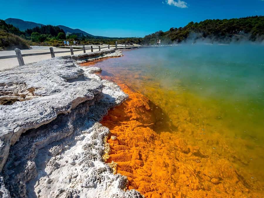 Auckland: Wai-O-Tapu, Maori Haka & Hot Springs Rotorua Tour - Lady Knox Geyser and Rotorua’s geothermal force