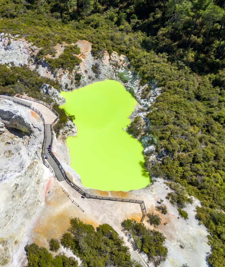 Auckland: Wai-O-Tapu, Maori Haka & Hot Springs Rotorua Tour - Blue and Green Lakes for a change of pace