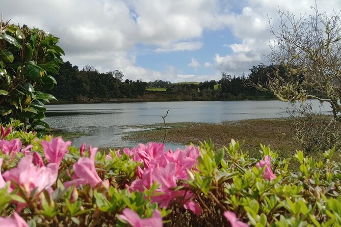 Azores: 1 Day Private Tour Furnas Volcanic Activity & Hot Springs - Terra Nostra: soak or stroll