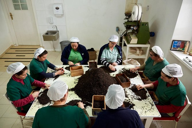 Azores: 1 Day Private Tour Furnas Volcanic Activity & Hot Springs - What the private format is worth