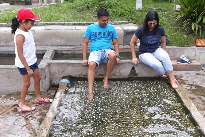 Back to Nature Tour - Templer's Park, Hot Spring & Batu Caves - From Kuala Lumpur streets to three very different stops