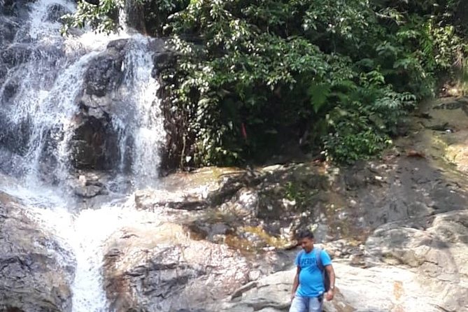Back to Nature Tour - Templer's Park, Hot Spring & Batu Caves - Who should choose this five-hour outing?