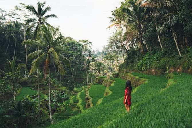 Bali day trip : Batur Sunrise Hike and Hot Spring All inclusive - Oka Agro Wisata adds a taste of Bali’s coffee culture