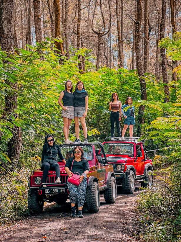 Bali: Shared Mount Batur Jeep Sunrise with Hot Springs - The shared 4WD ride to the sunrise viewpoint
