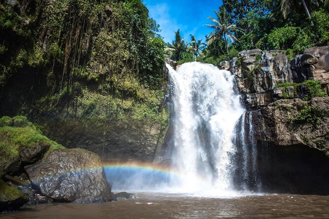 Bali Swing Hot Spring And Waterfall Private Guided Tour - Sacred Monkey Forest, where Ubud starts under the trees