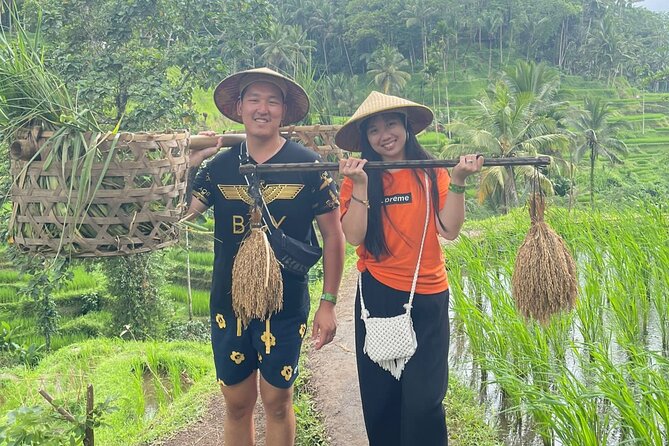 Bali Swing Hot Spring And Waterfall Private Guided Tour - Tampaksiring and Tirta Empul’s sacred water