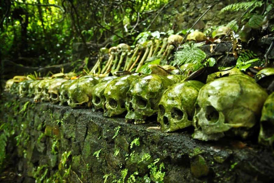 Bali: Trunyan Cemetery, Hot Springs, and Penglipuran Village - Why Trunyan makes this Bali day trip different