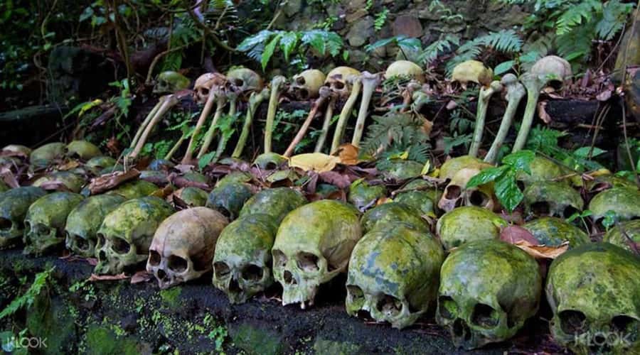 Bali: Trunyan Cemetery, Hot Springs, and Penglipuran Village - Crossing Lake Batur from Songan Village