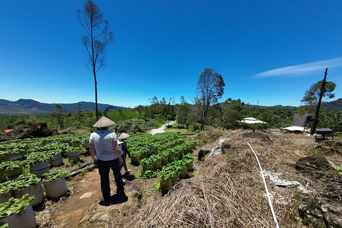 Bandung Volcano Sightseeing and Hot Spring Private Tour - White Crater: sulfur air and a blue volcanic basin