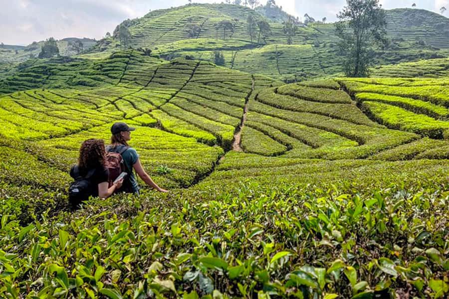 Bandung: White Crater, Scenic Tea Plantations & Hot Spring - White Crater gives the day its wow factor