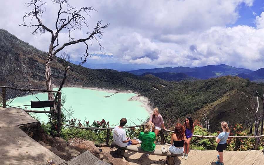 Bandung: White Crater, Scenic Tea Plantations & Hot Spring - Tea gardens turn the drive into part of the tour