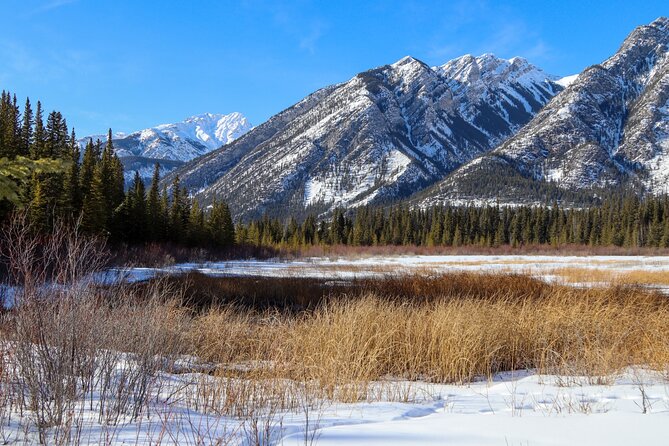 Banff Cave & Hot Springs Audio Walking Tour (Not a Ticket) - Looking toward Sulphur Mountain’s Cosmic Ray Station