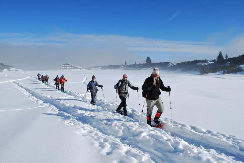 Bansko: Easy snowshoeing Pirin National Park & thermal spa - Leaving Bansko for the Pirin winter woods