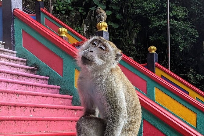 Batu Caves,Waterfalls and Hot Springs Tour With Lunch - The hot spring stop needs a status check