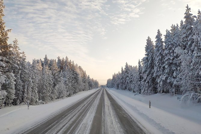 Best Of Lapland: Sauna, Ice swimming, Dinner & Northern Lights - When to expect the Northern Lights
