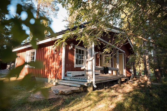 Best Of Lapland: Sauna, Ice swimming, Dinner & Northern Lights - What $189.94 buys you
